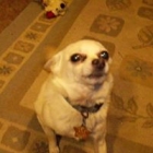 cheyenne.mcdaniel.31