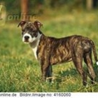 kimberly.norman.9275