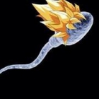 luccasguilherme.ramo