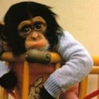 rafael.titus.b.santo