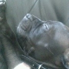 sue.richards.9883739